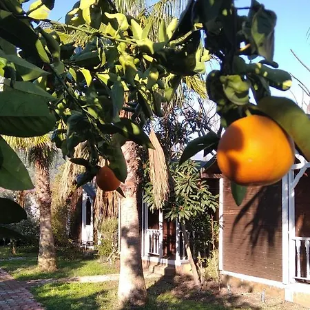 Kervan Pansiyon Çıralı